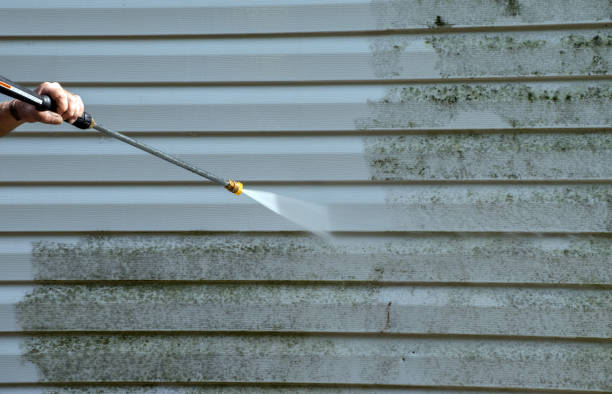 Best Professional Mold Removal  in Fairchild Af, WA