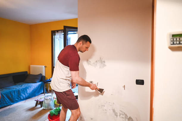 Professional Mold Removal in Fairchild Af, WA