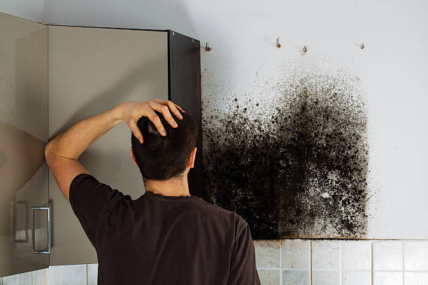Best Residential Mold Removal  in Fairchild Af, WA